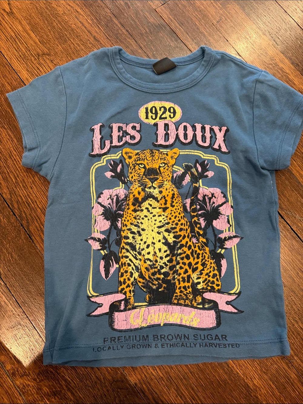 Urban Outfitters Blue Leopard Graphic Tee with Pink Accents